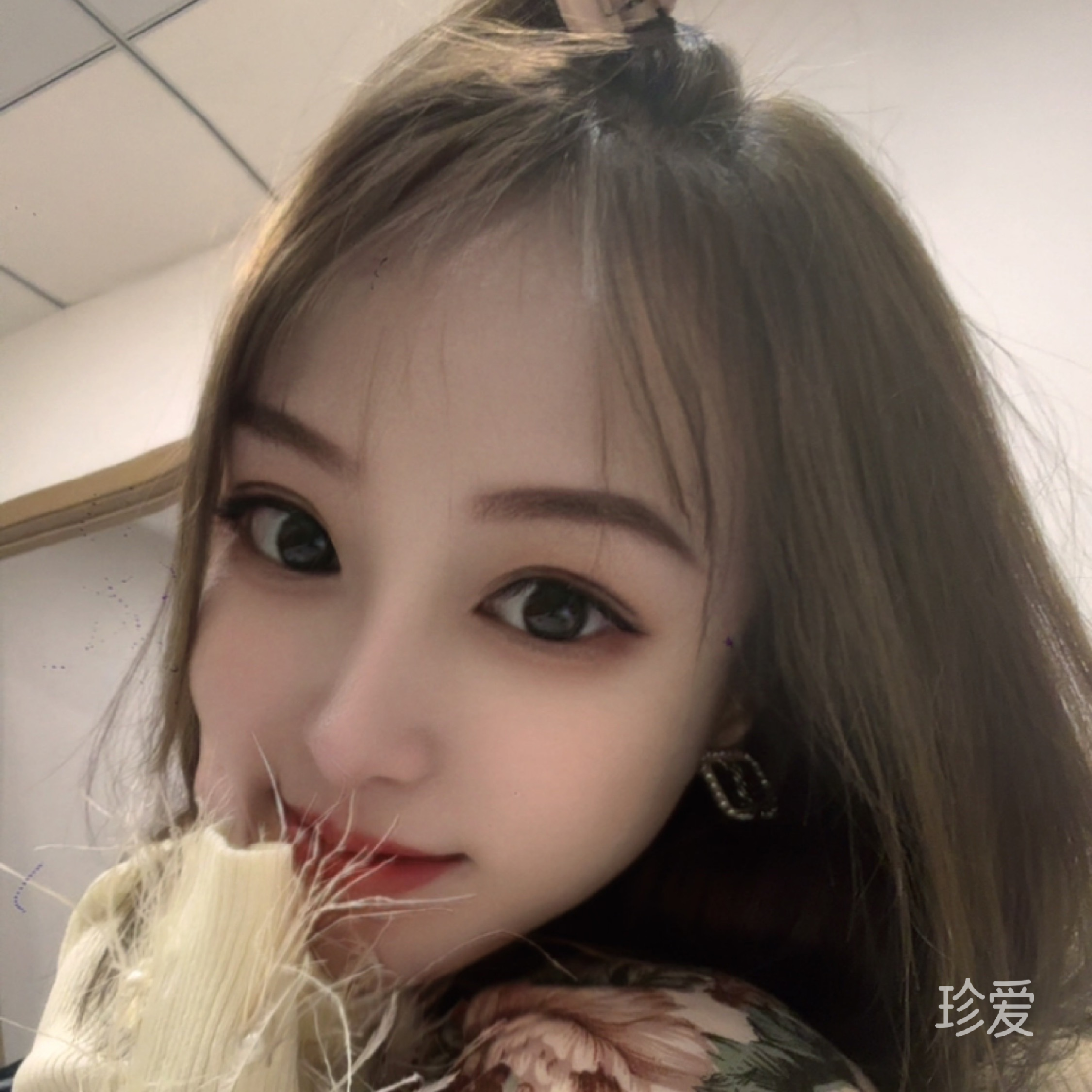 清风如你