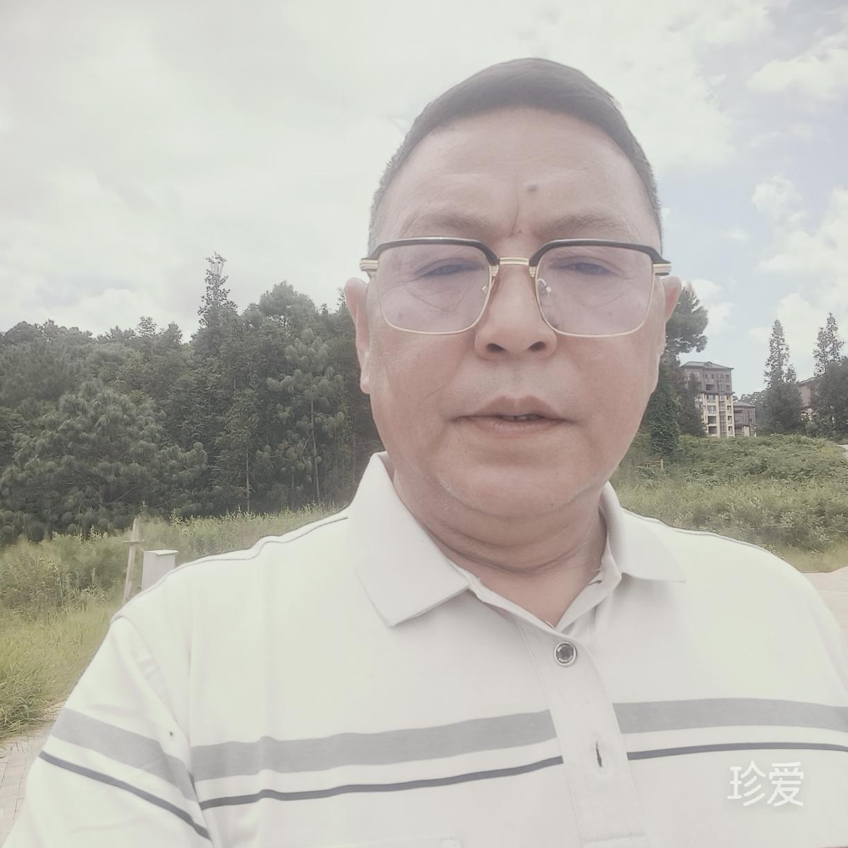 雨后太阳