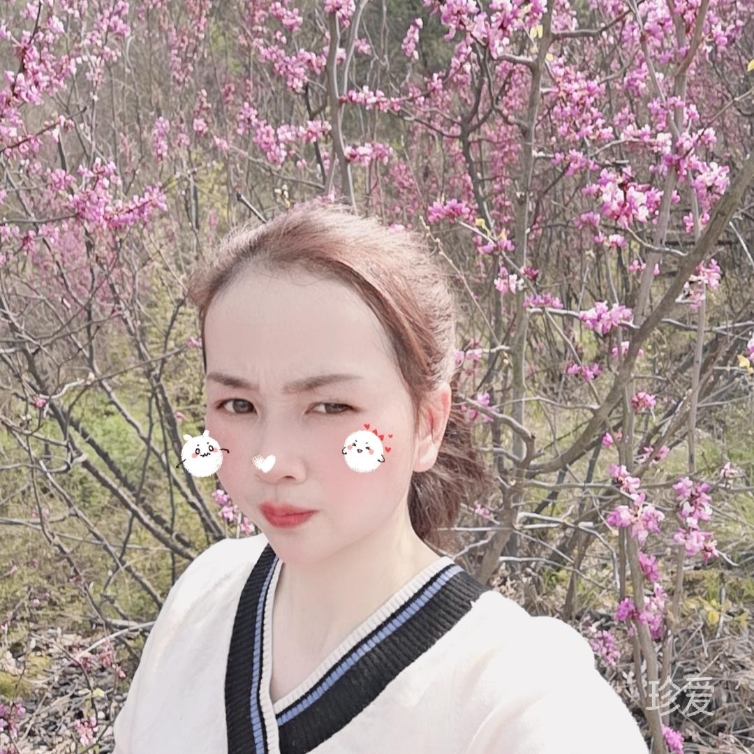 繁华似锦
