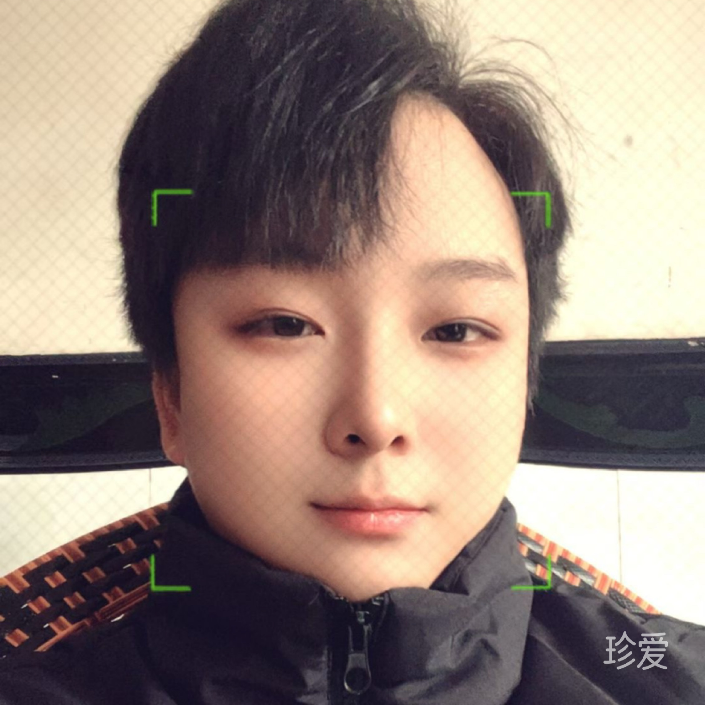 麦田蚱蜢