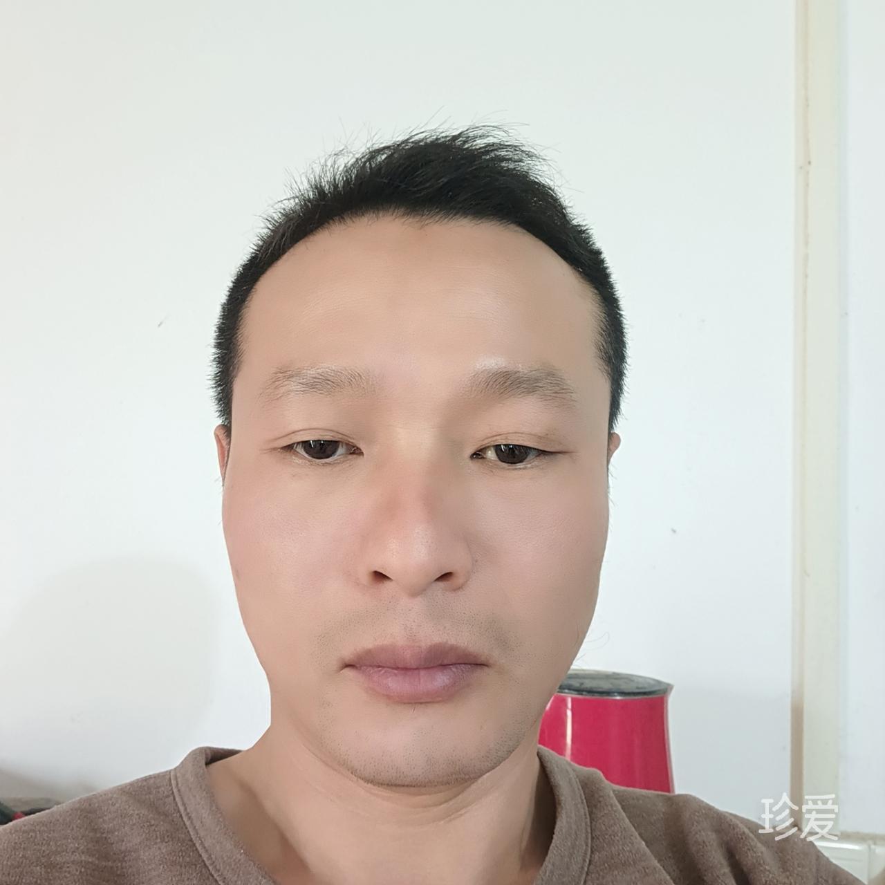 真心找伴