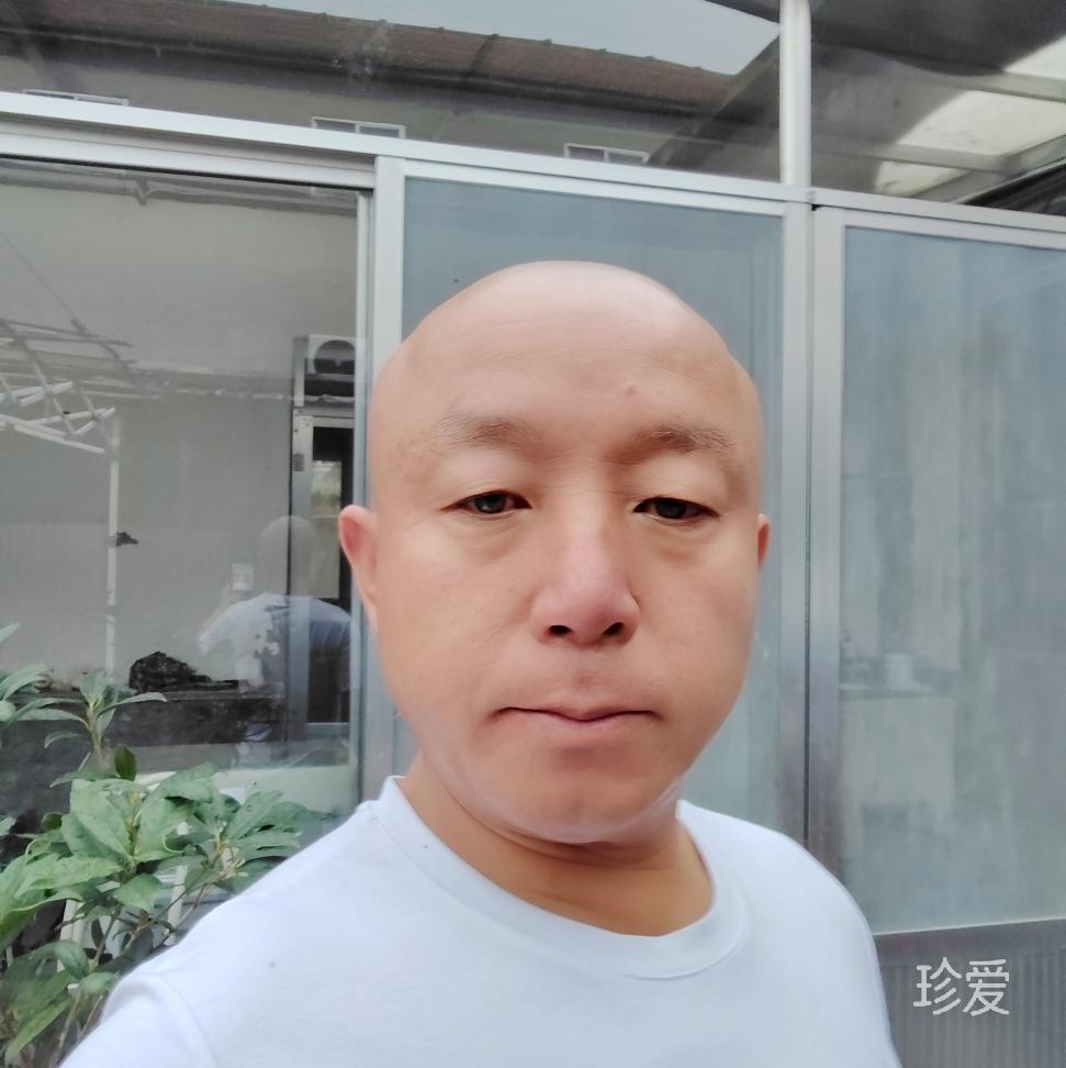 失落的心