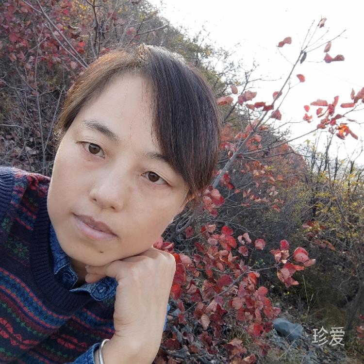 風(fēng)間的向日葵