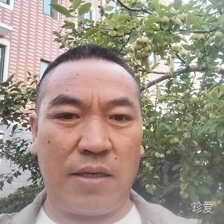 一切随缘