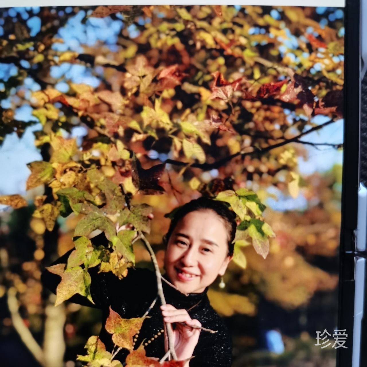 木偶
