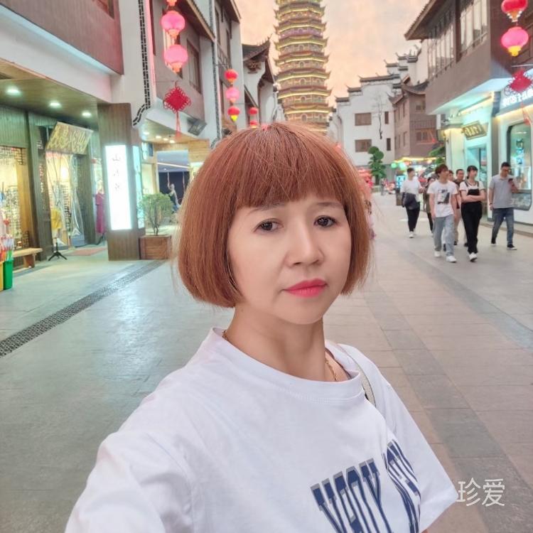 月光下的玫瑰1385