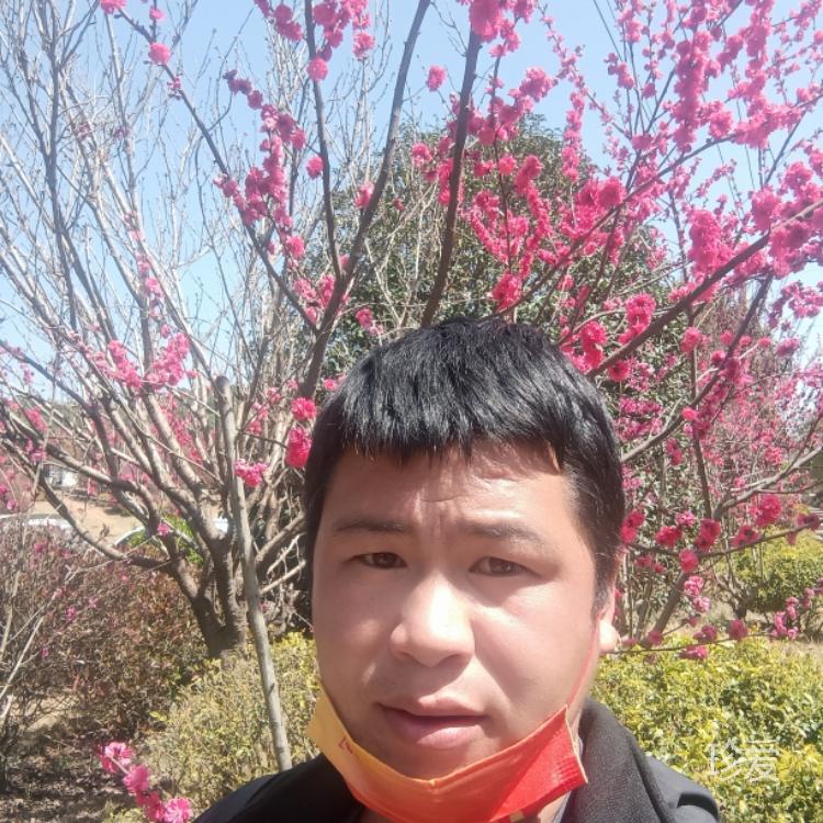 累了痛了自己扛