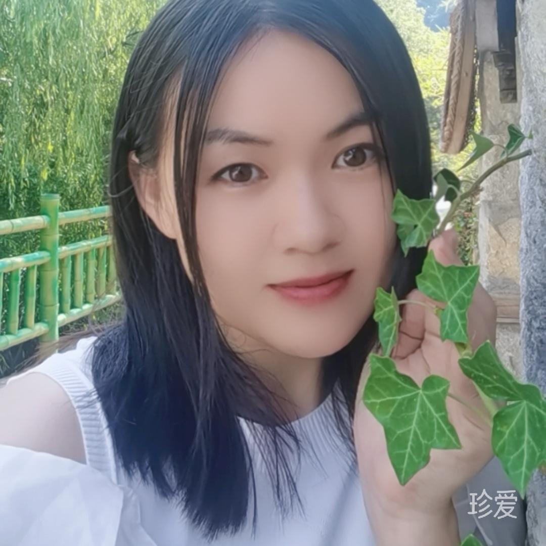 風(fēng)雨中的向日葵