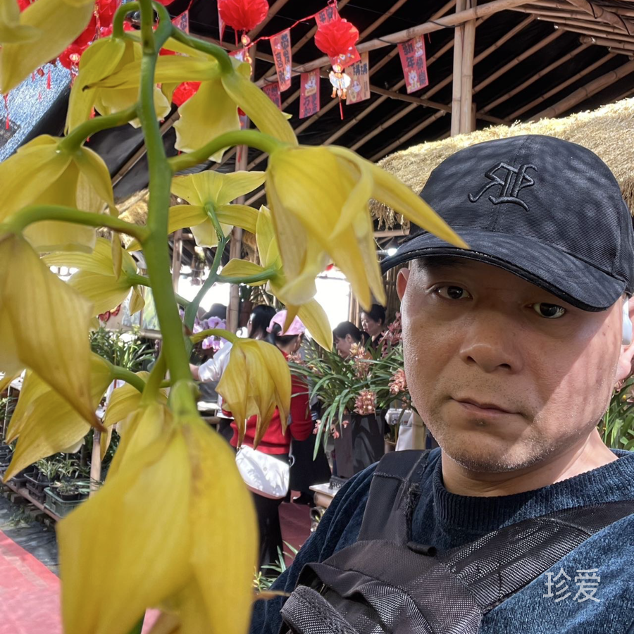 心的花色