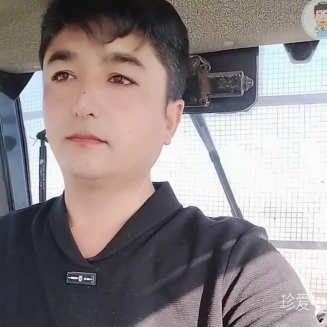 凤凰飞翔