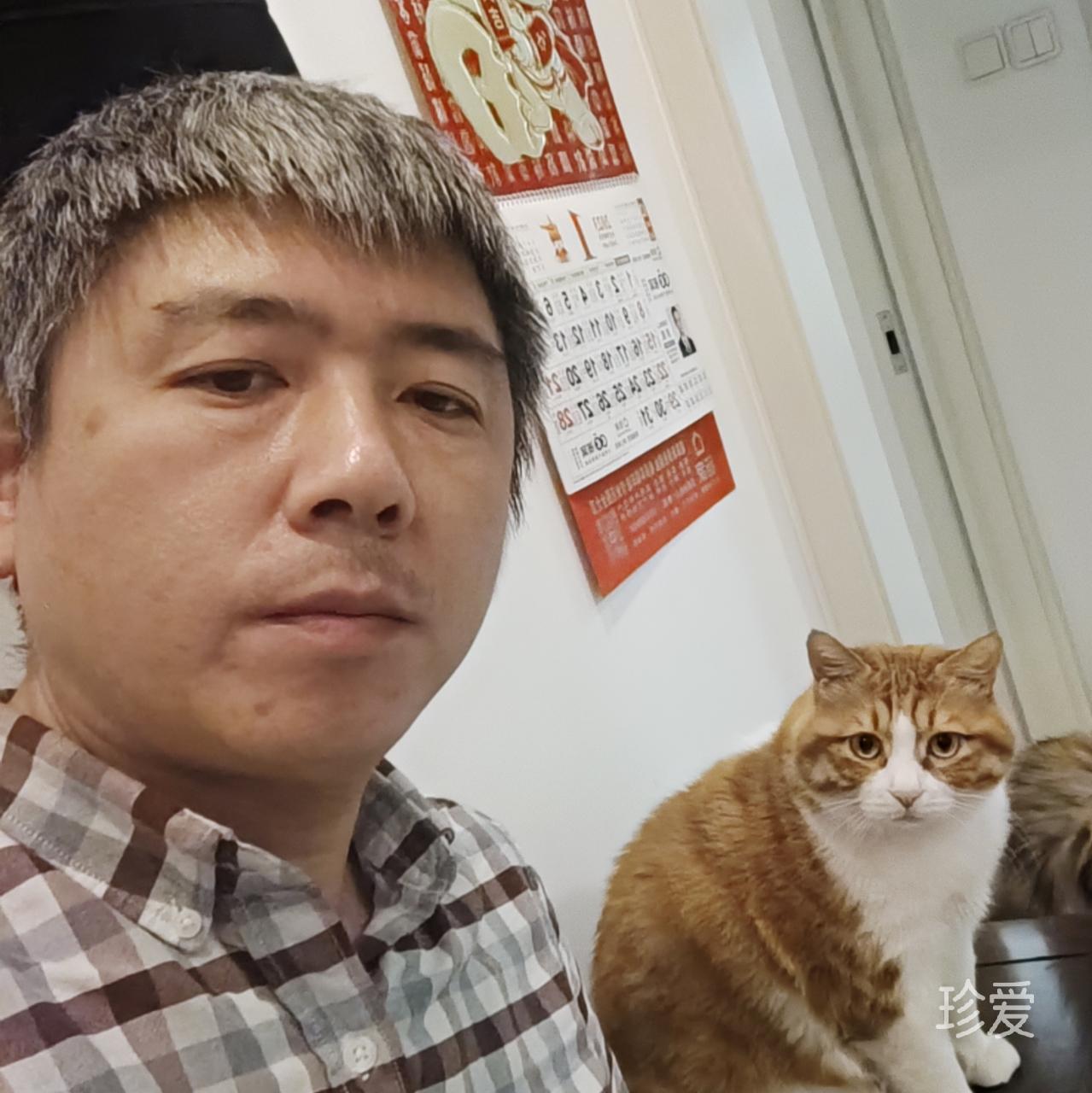 大猫猫