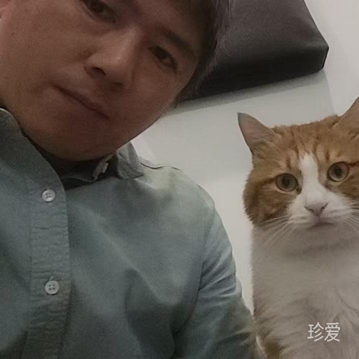 大猫猫