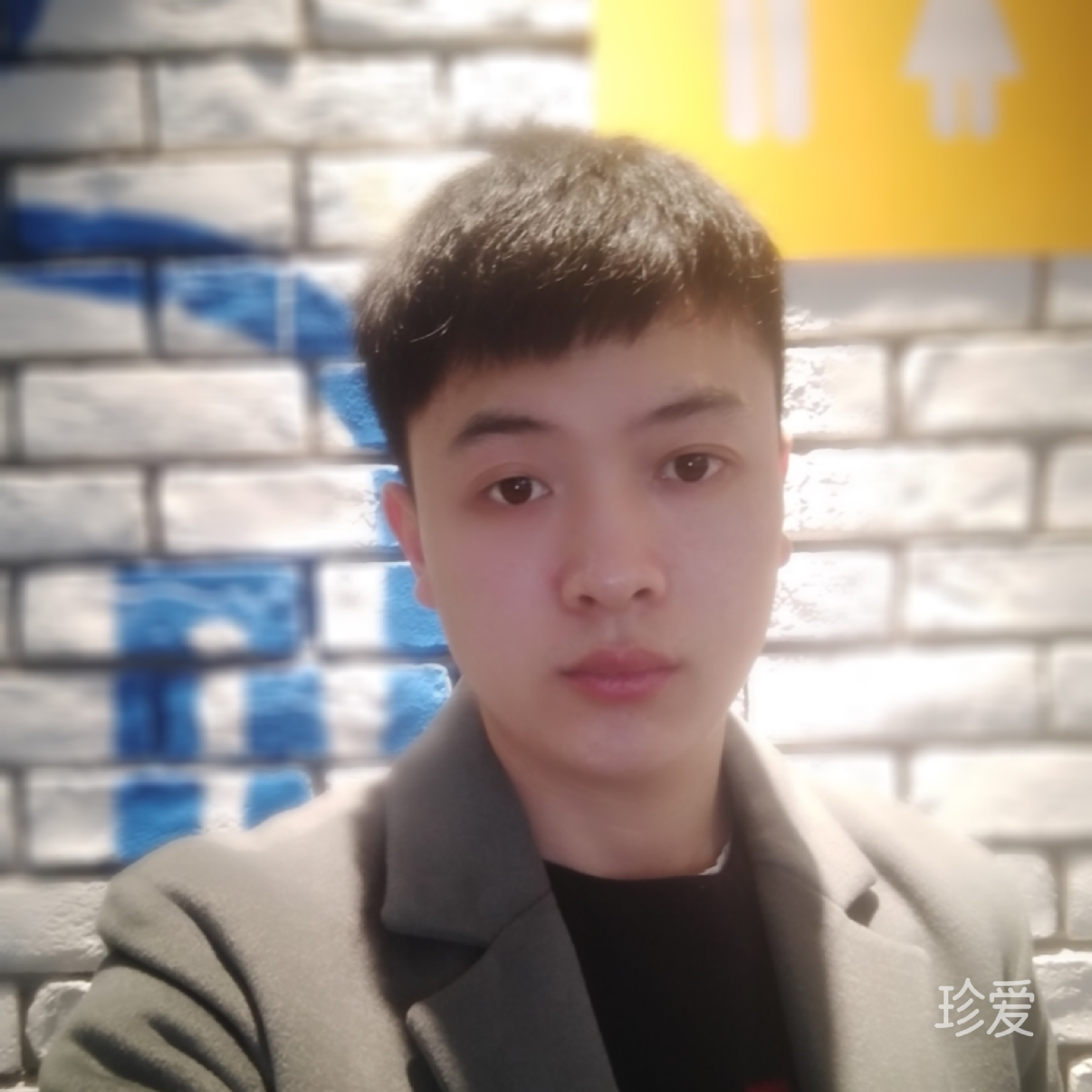 北方狼