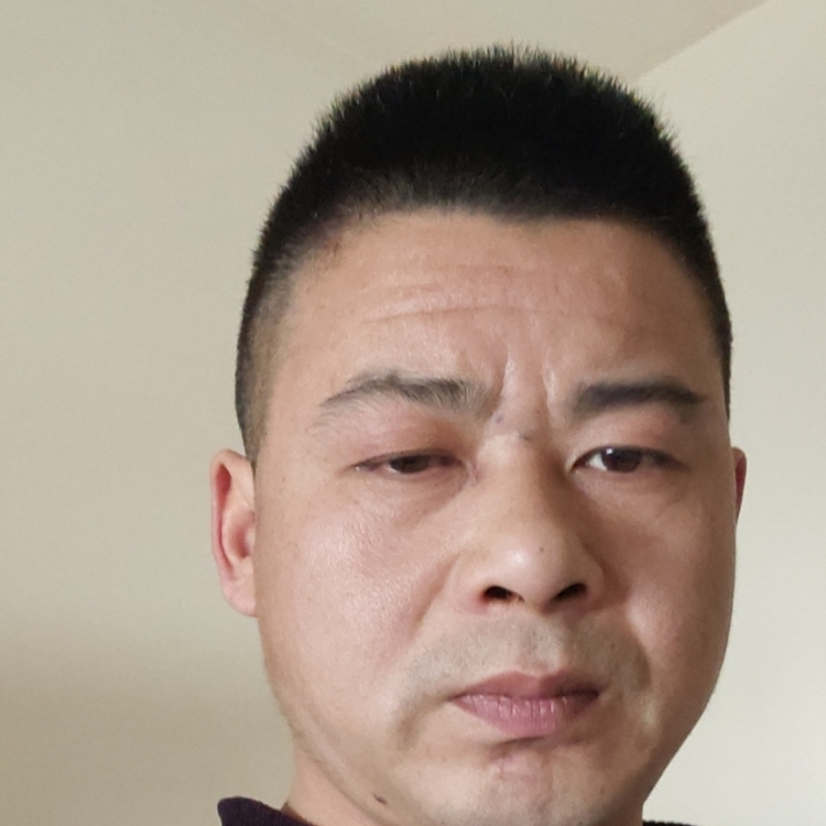 為愛尋找一個港灣