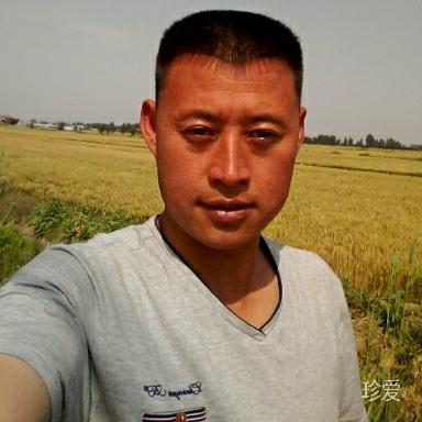 夏日午后