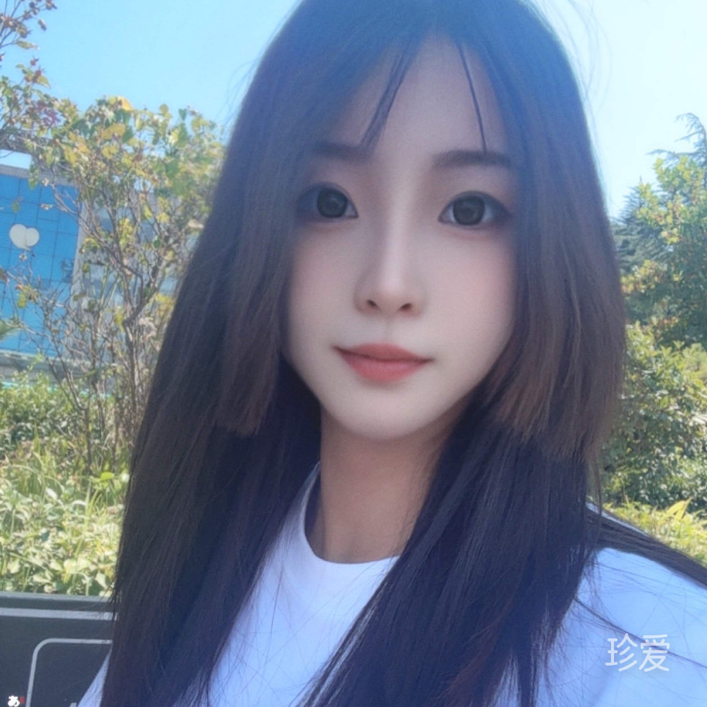 小小小柚子
