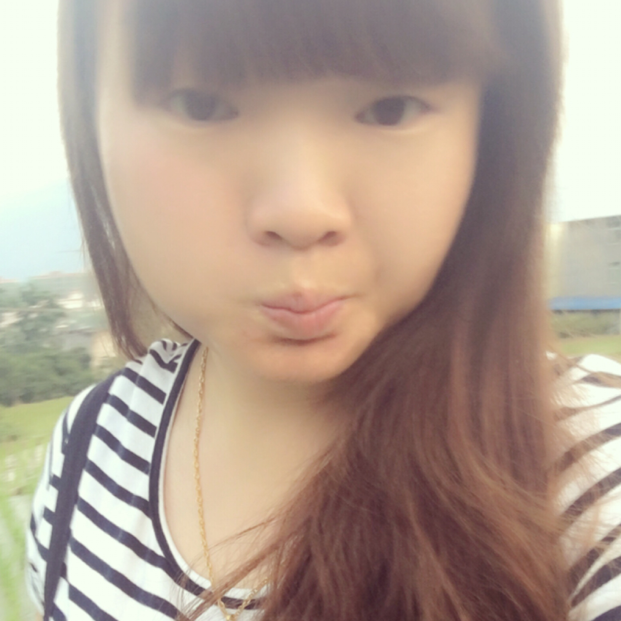 丟了幸福的笨豬