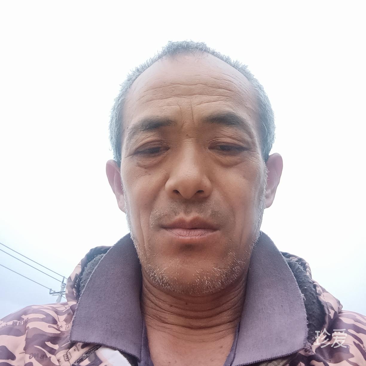 爱在寻途中