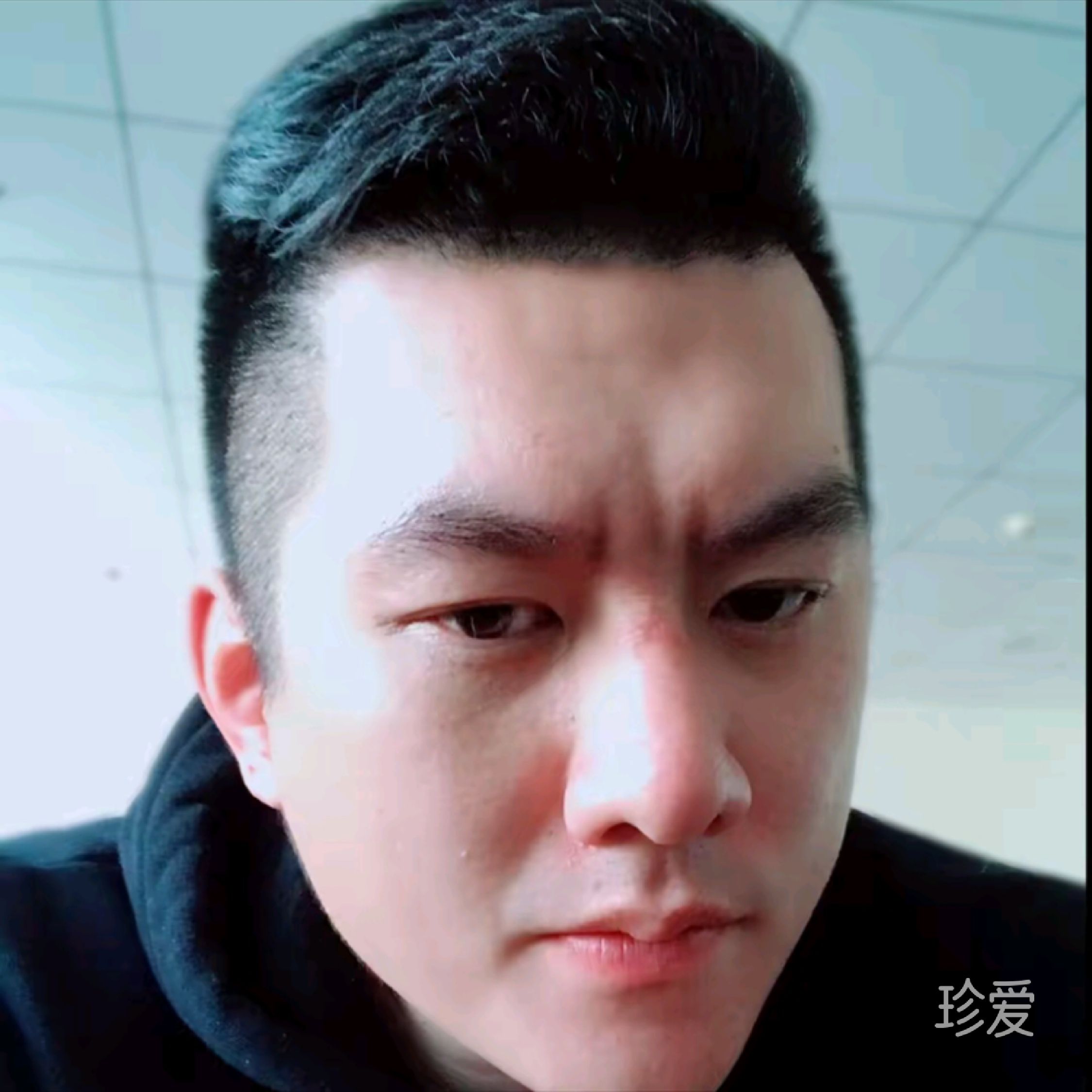 兔子先生