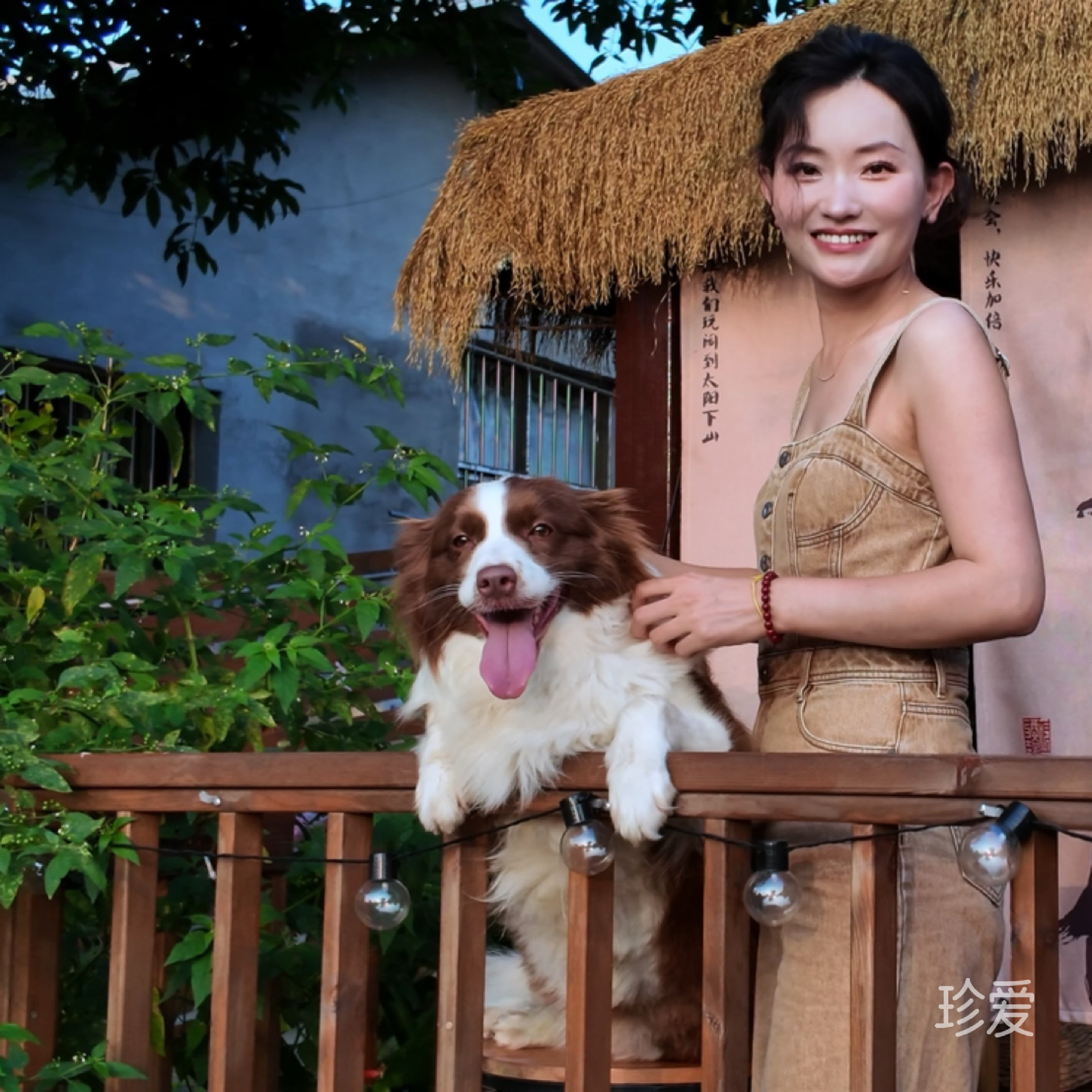 小白羊