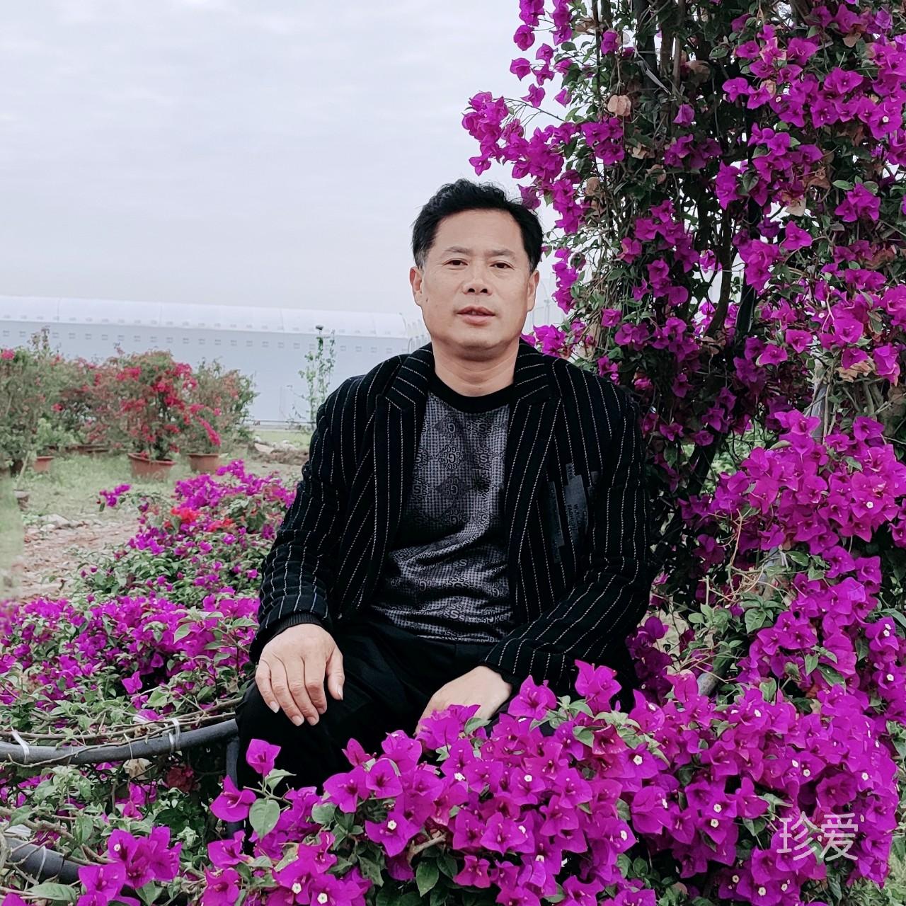 会飞的鱼