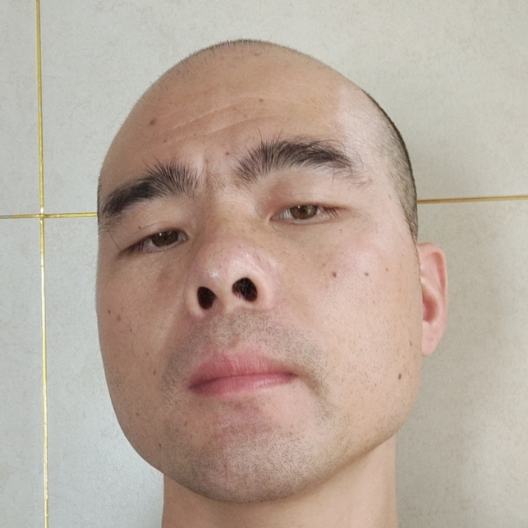 wwz來自未來的我12