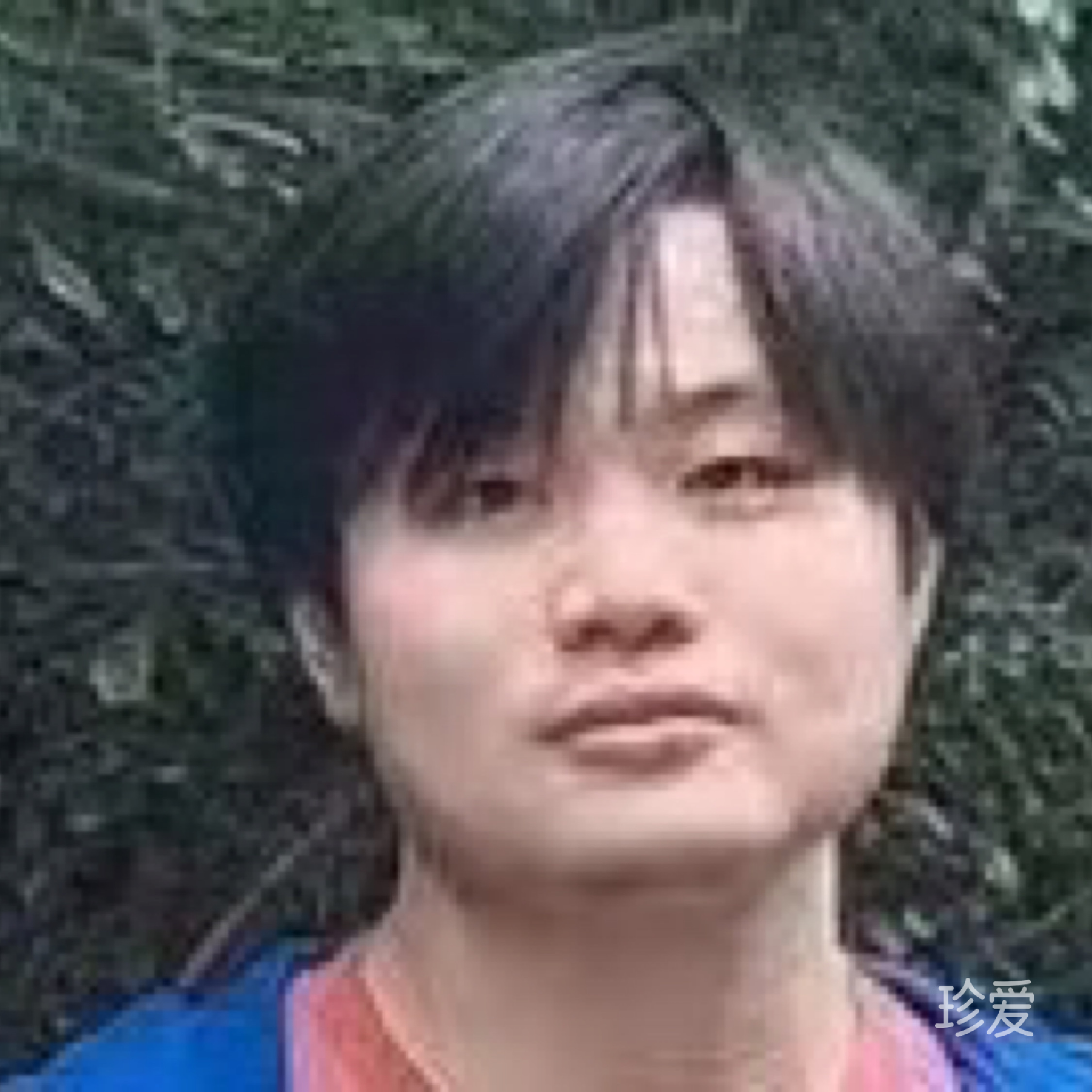 醉菩提