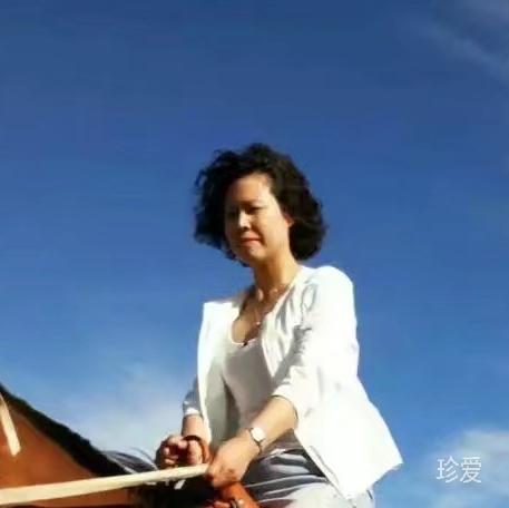 風(fēng)輕云淡的陪伴