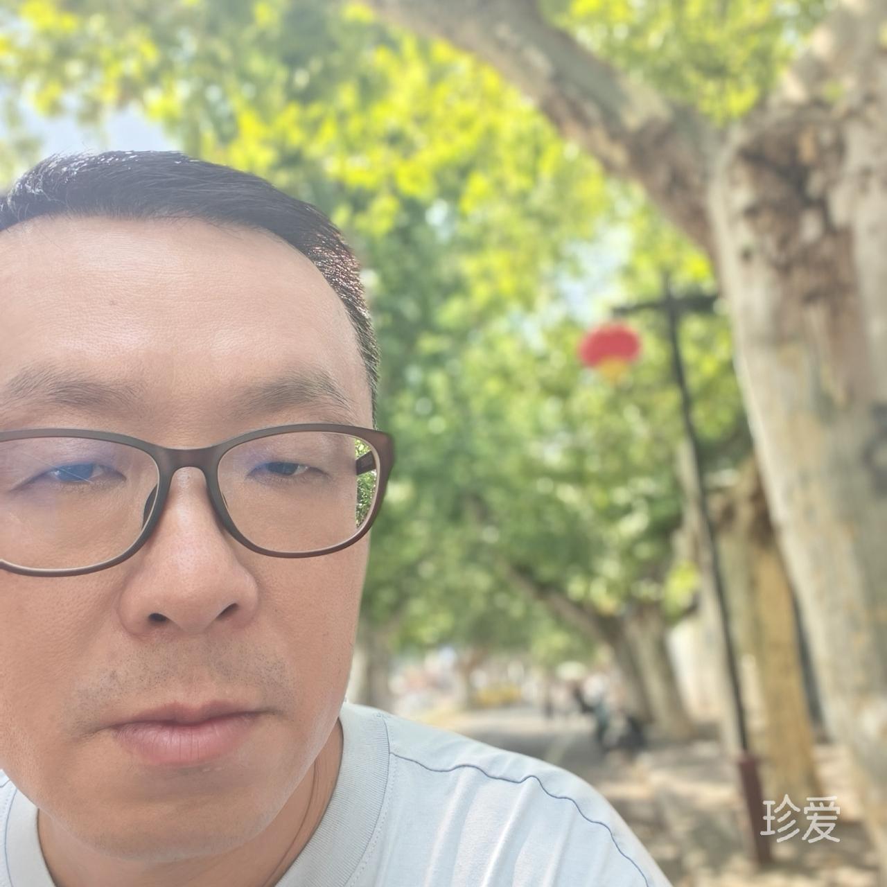 青山淡吾虑