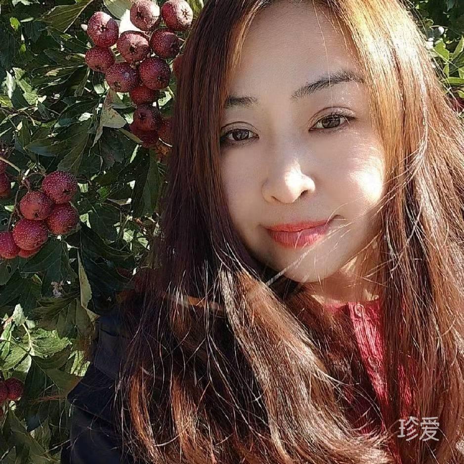 美伊