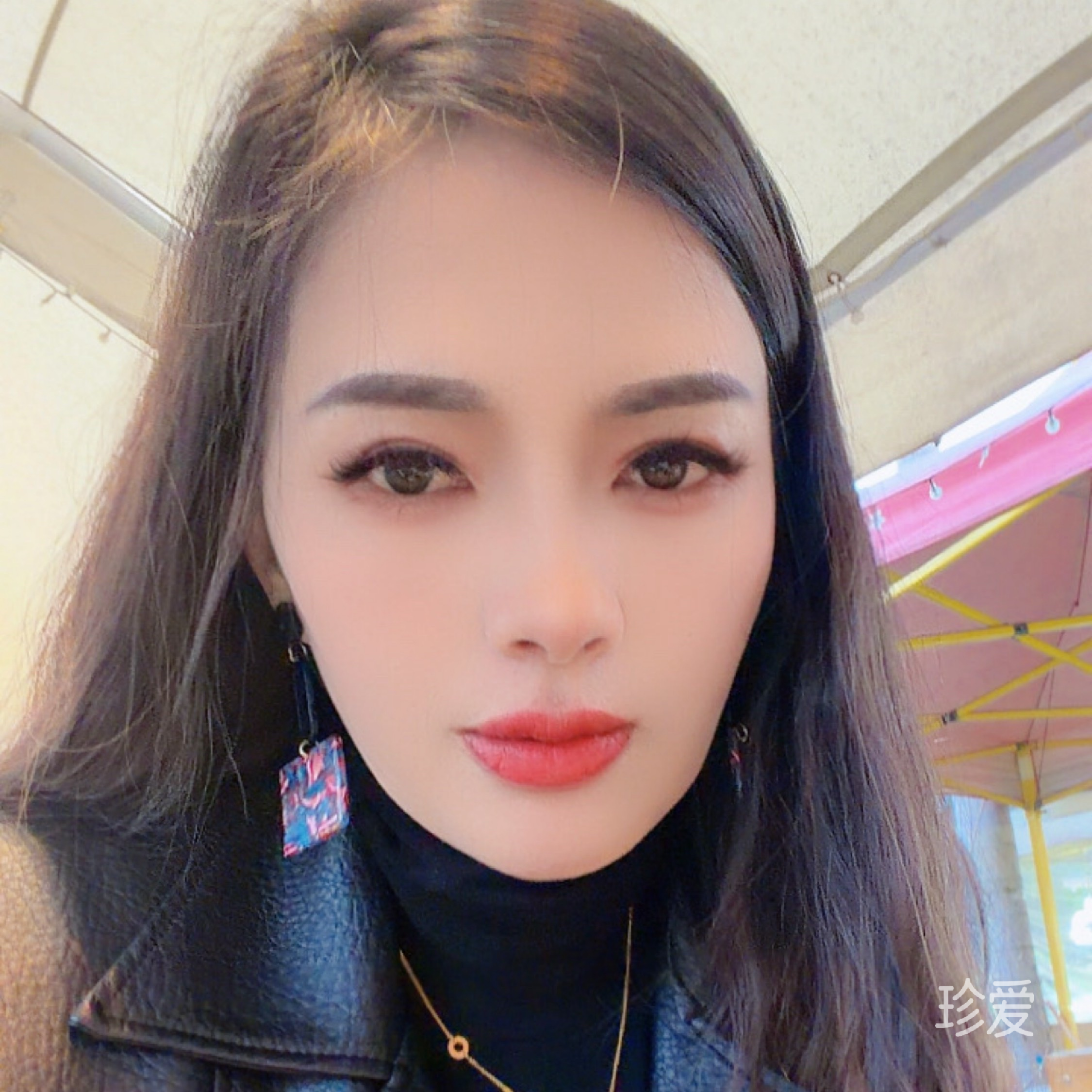 被遗弃的小猫咪