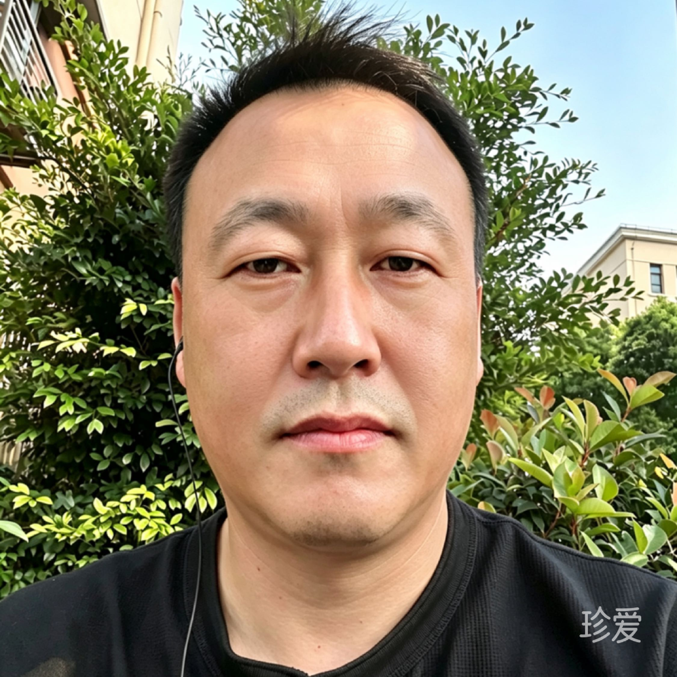 乐乐