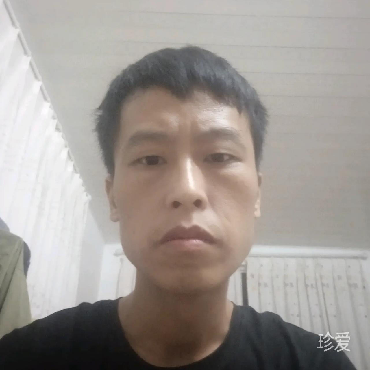 秋叶飘飘