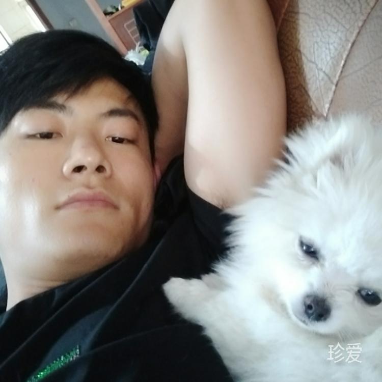 走过的路