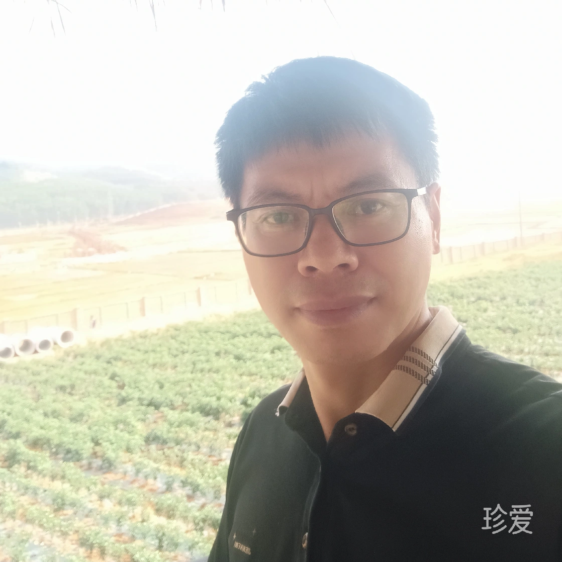 缘来是你