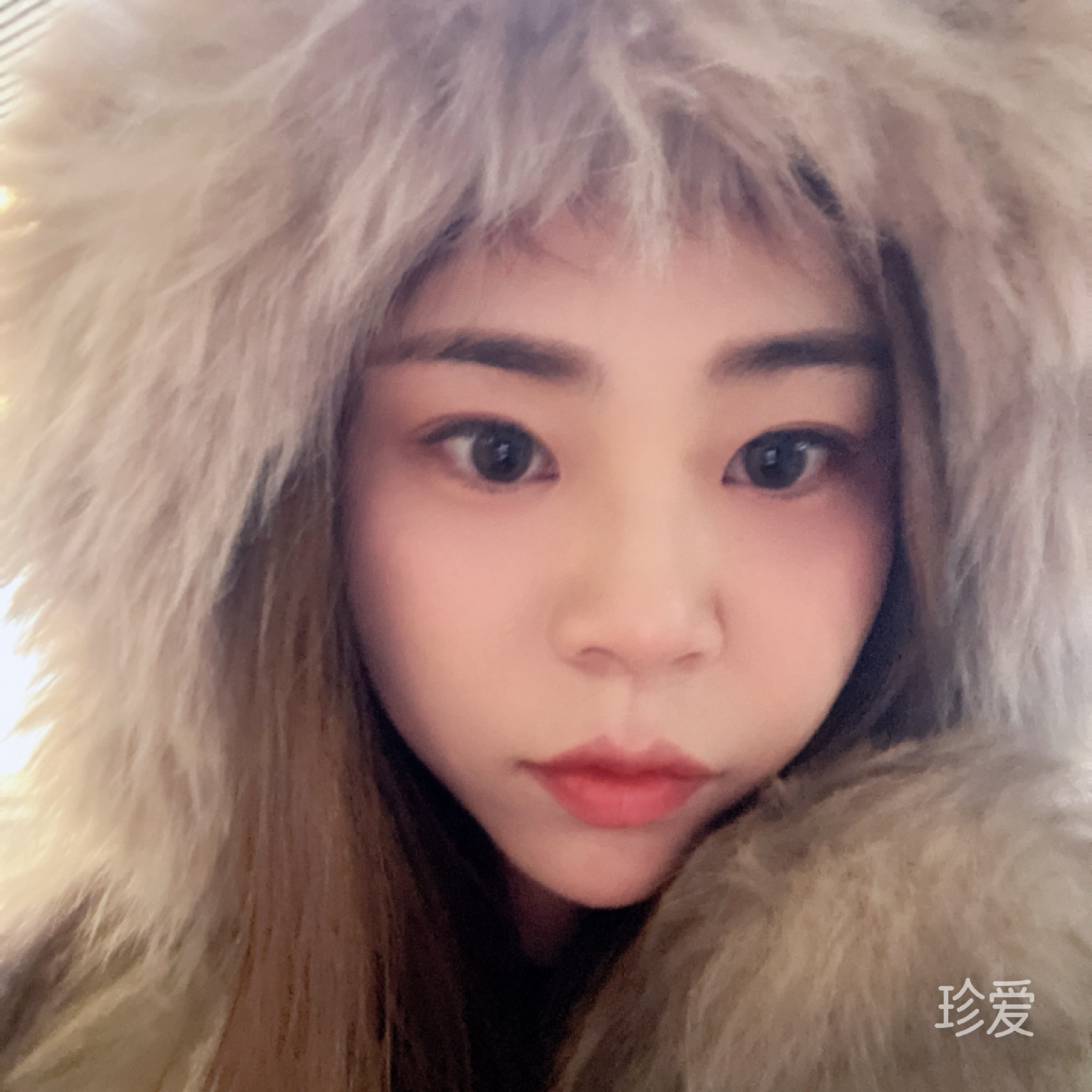 十二