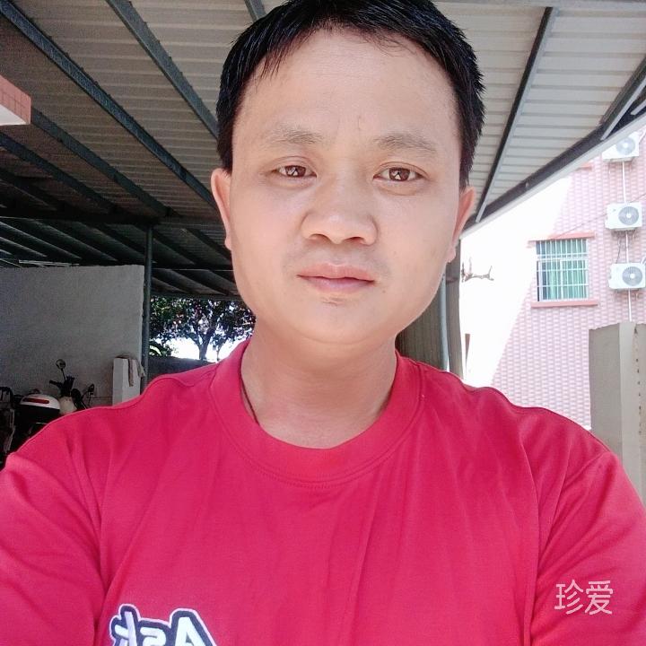 小杨
