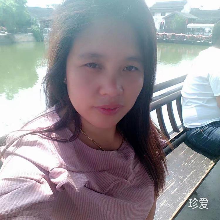 風(fēng)雨中的小鳥