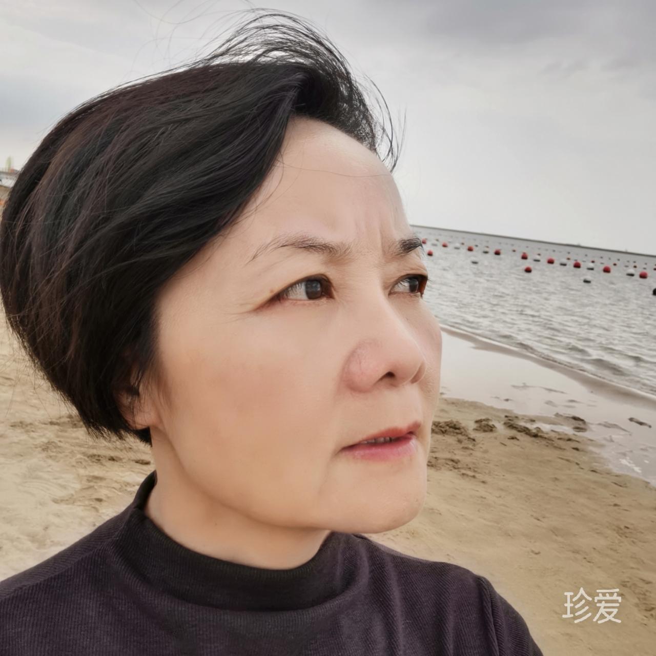 摇曳蔷薇