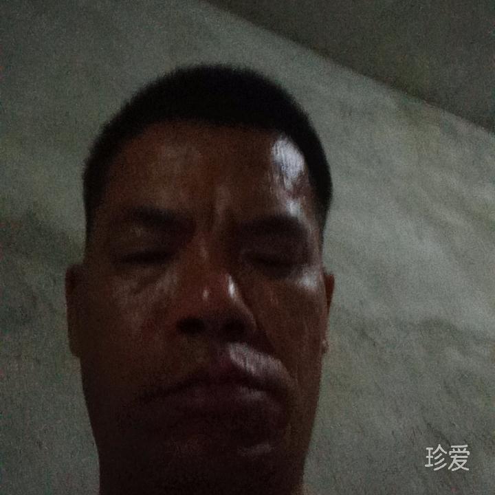 清香绿茶