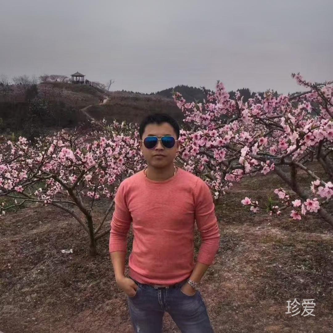 聽說愛情回來過