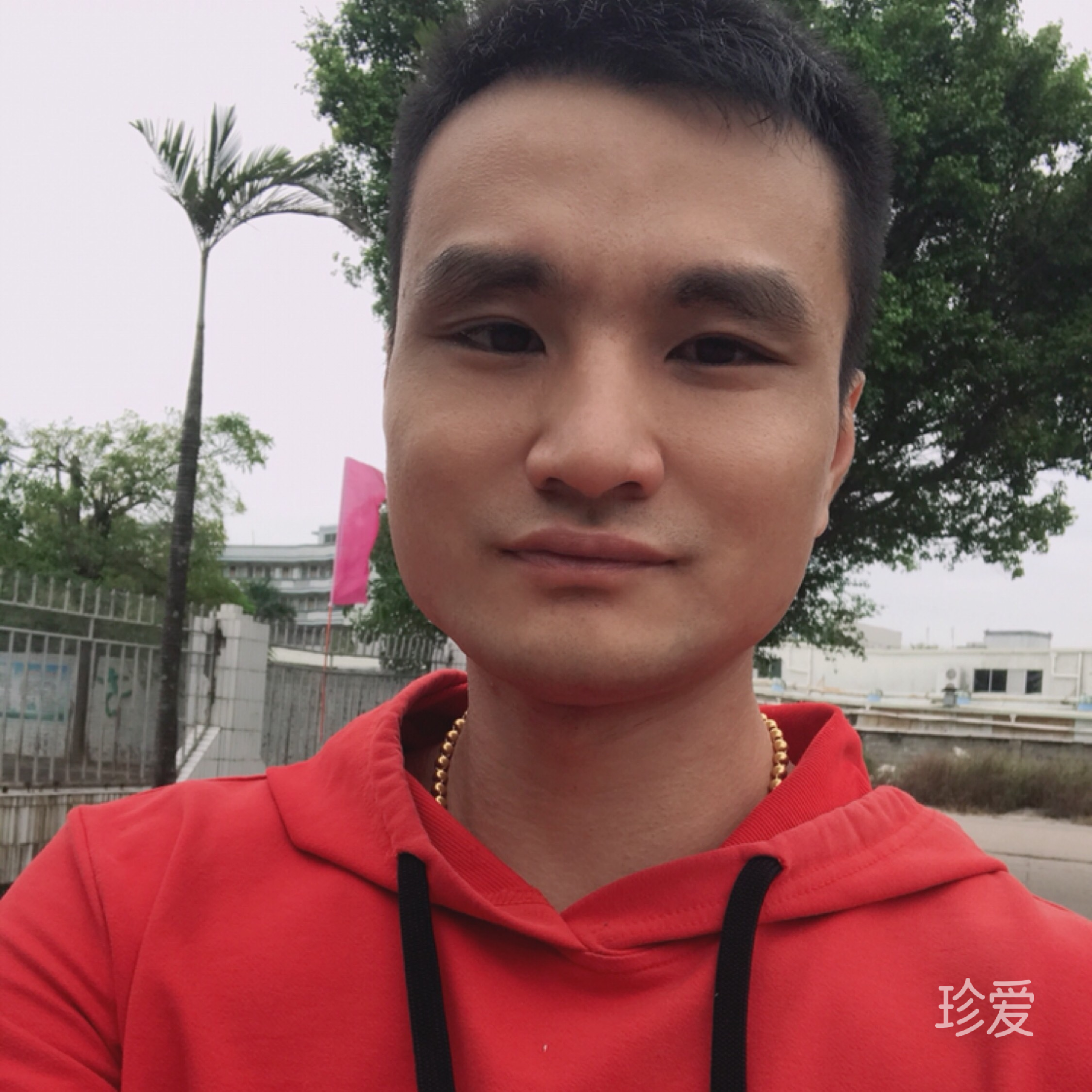 我想有个家