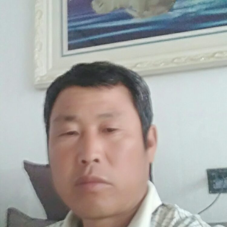 人生若只如初見