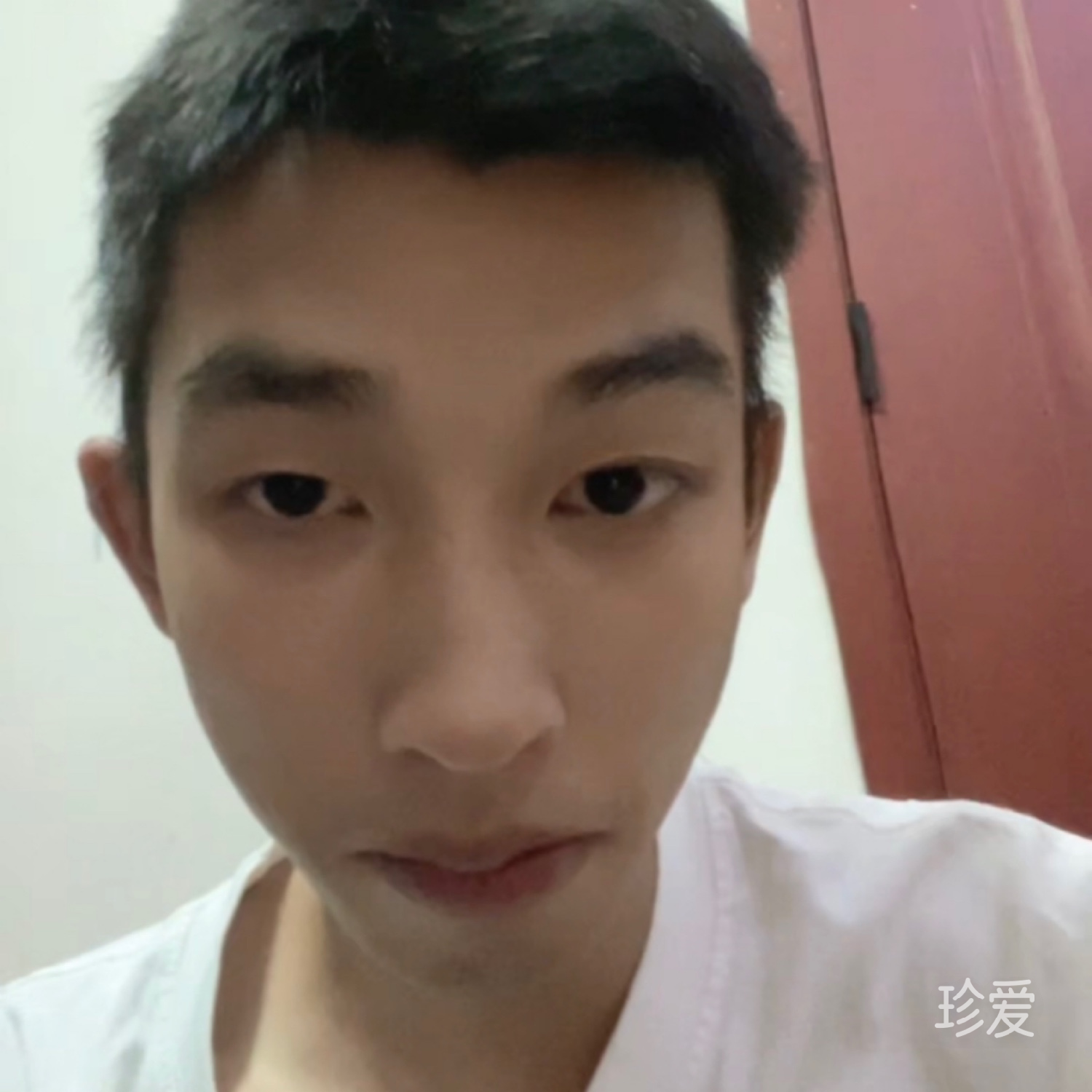等爱降落