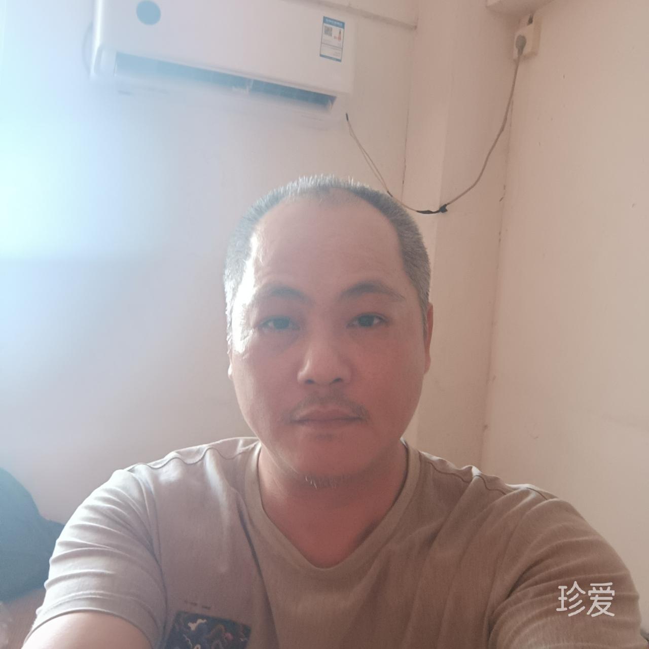 我是骡子不是白马