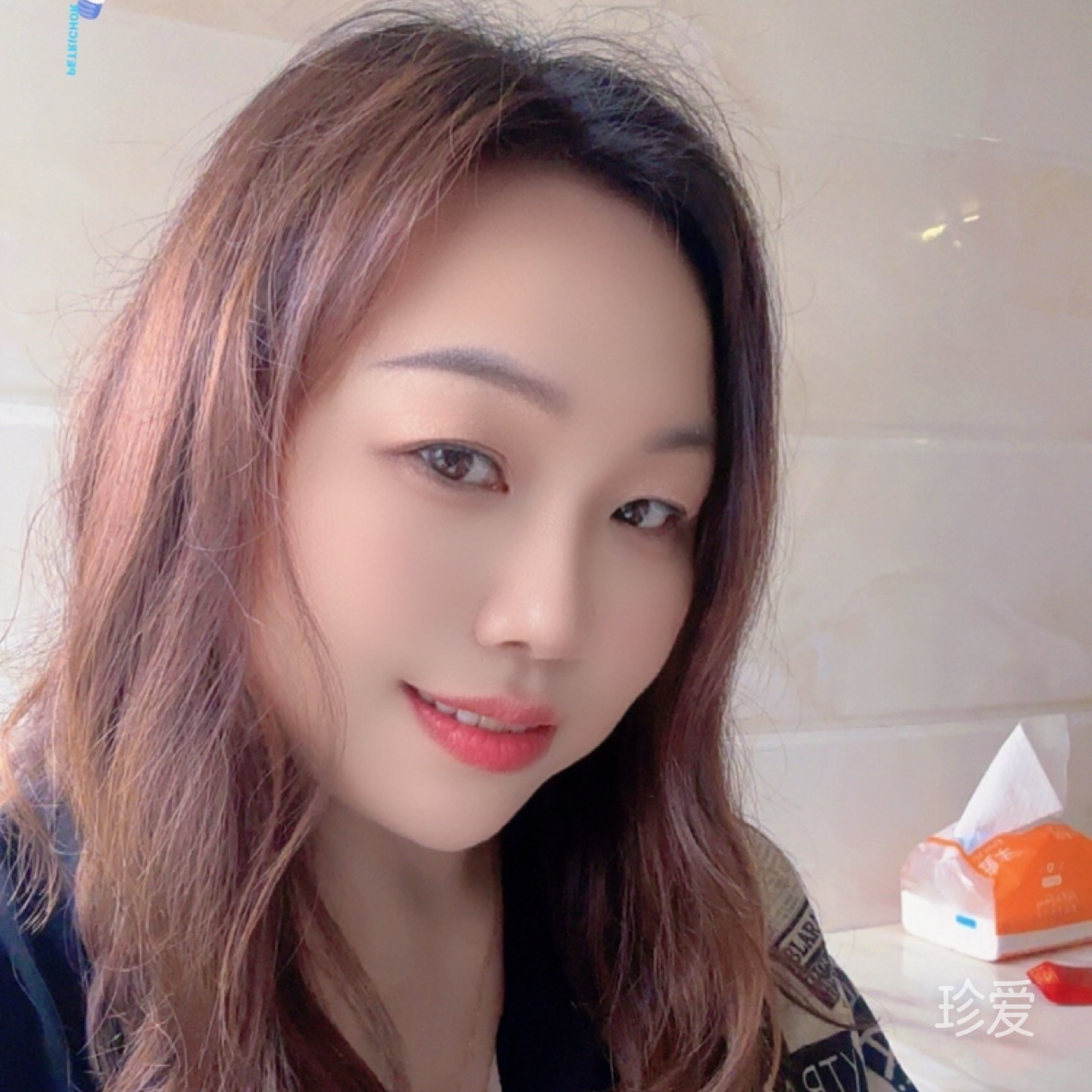 小鸟依人
