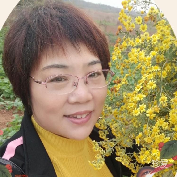 萱草凝香