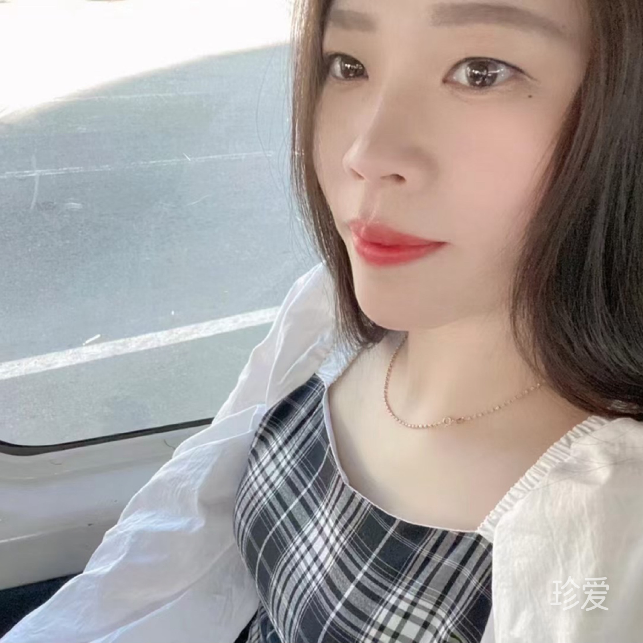 一朵玫瑰