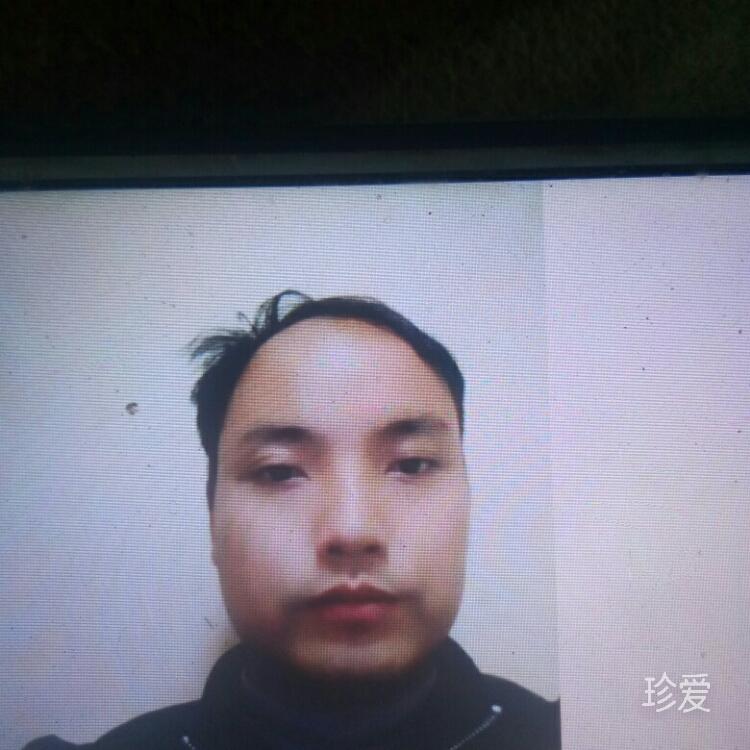 影a飞