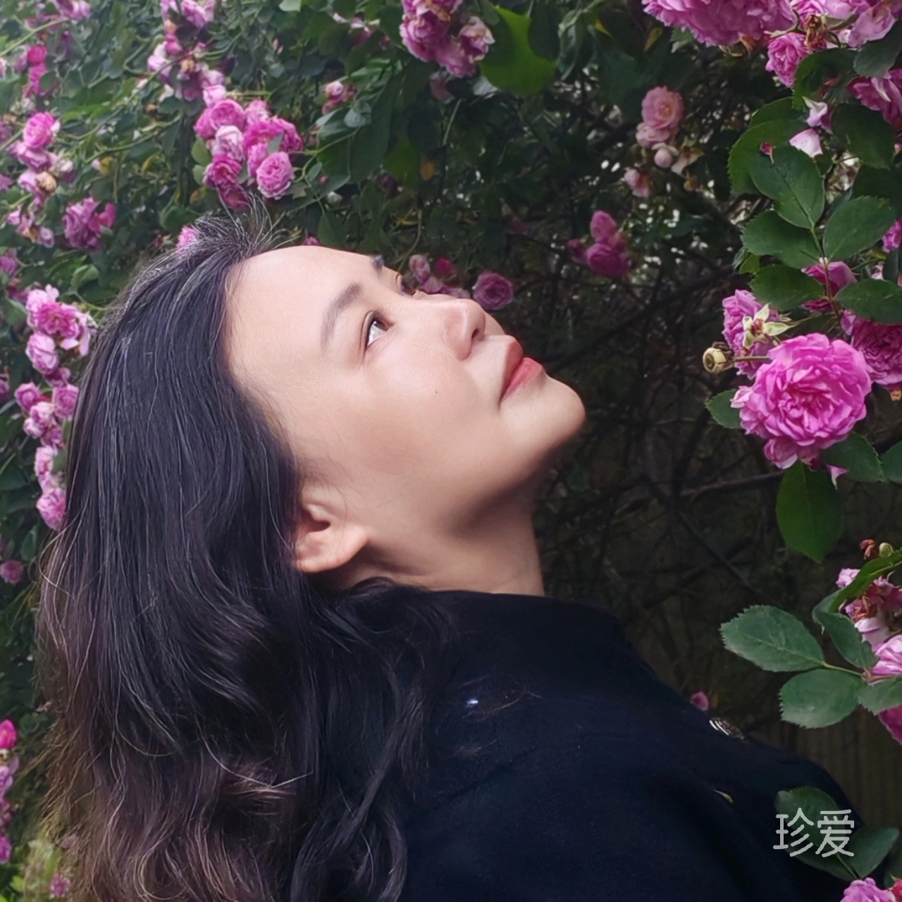 机缘巧合